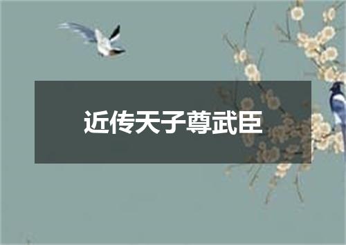 近传天子尊武臣