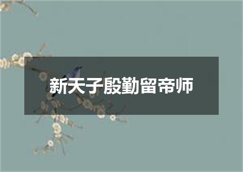 新天子殷勤留帝师