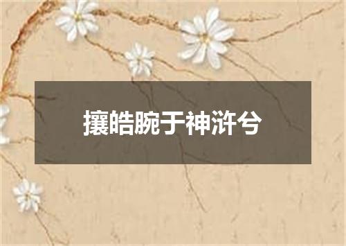 攘皓腕于神浒兮