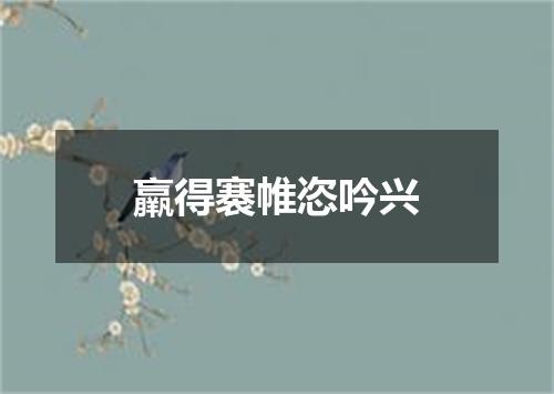 羸得褰帷恣吟兴