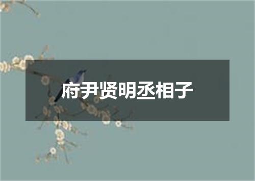 府尹贤明丞相子