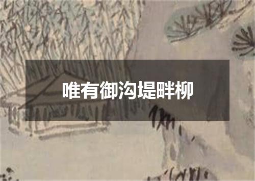 唯有御沟堤畔柳