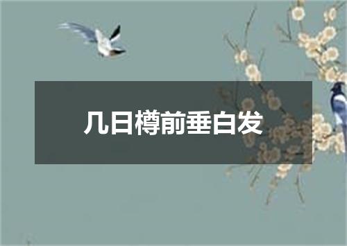 几日樽前垂白发