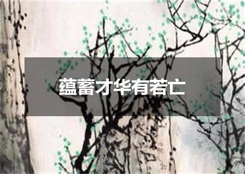 蕴蓄才华有若亡