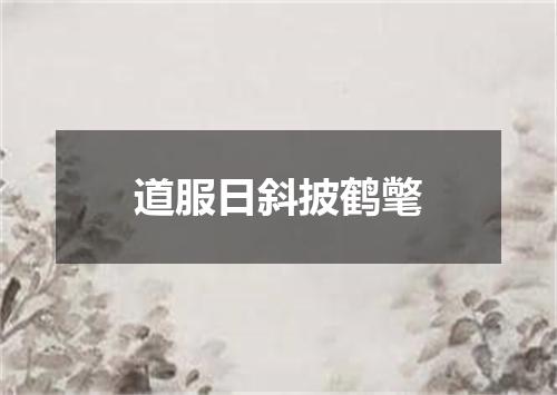 道服日斜披鹤氅
