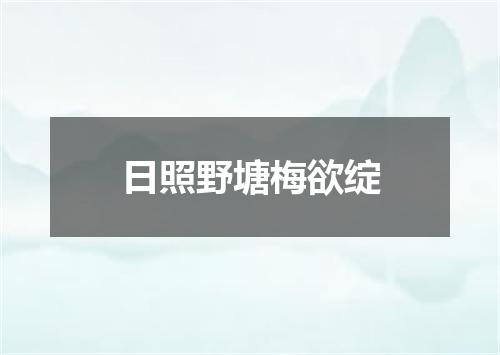 日照野塘梅欲绽