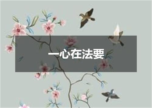 一心在法要