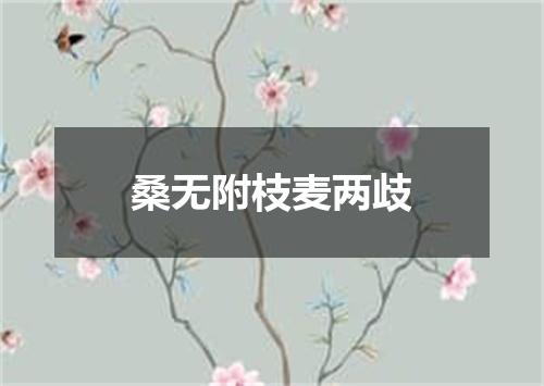 桑无附枝麦两歧