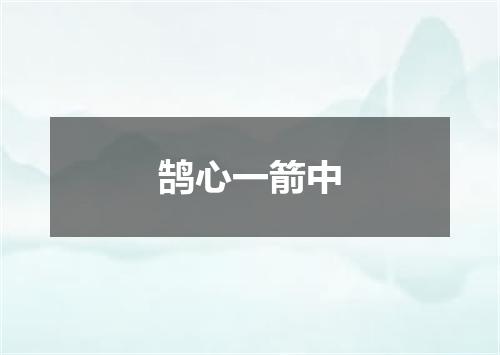 鹄心一箭中