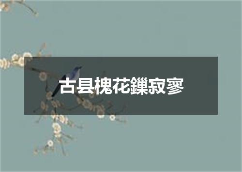 古县槐花鏁寂寥