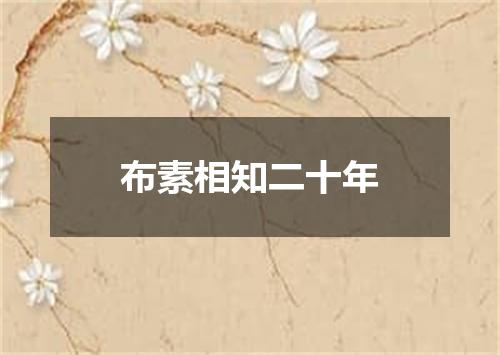 布素相知二十年
