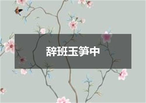 辞班玉笋中