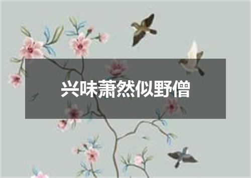 兴味萧然似野僧