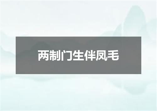 两制门生伴凤毛