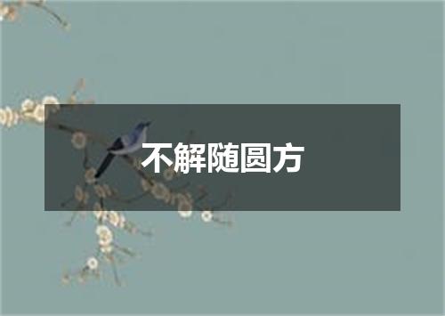 不解随圆方