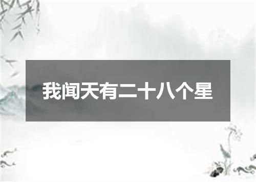 我闻天有二十八个星