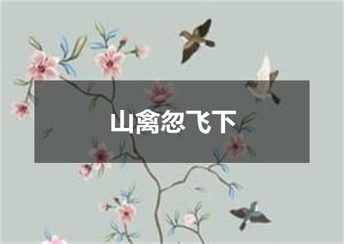山禽忽飞下