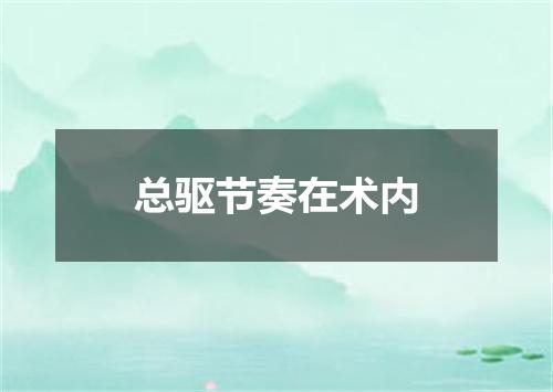 总驱节奏在术内