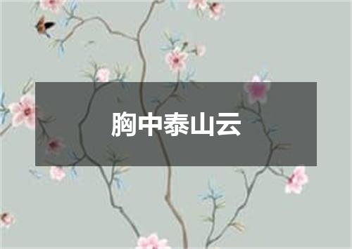 胸中泰山云