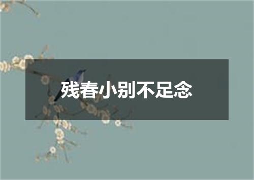 残春小别不足念