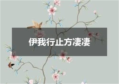 伊我行止方凄凄
