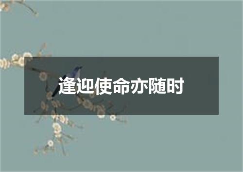 逢迎使命亦随时
