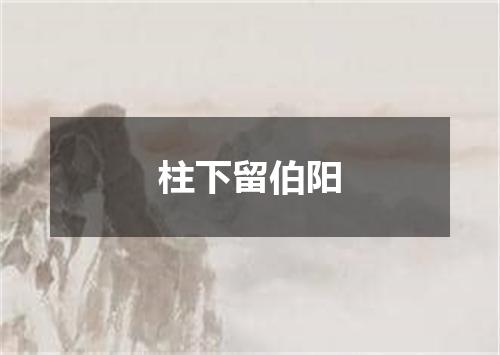 柱下留伯阳