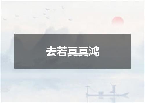 去若冥冥鸿