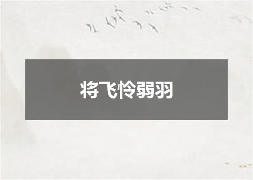 将飞怜弱羽
