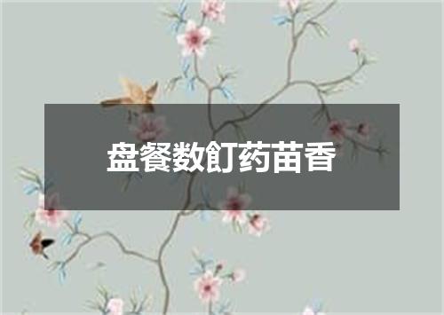 盘餐数飣药苗香