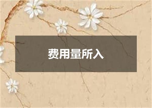 费用量所入