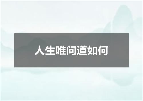 人生唯问道如何