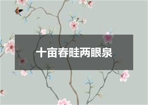 十亩春畦两眼泉