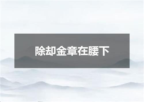 除却金章在腰下