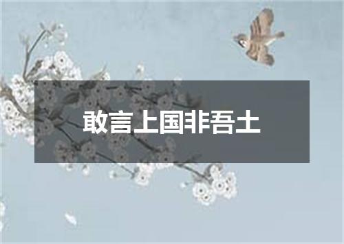 敢言上国非吾土
