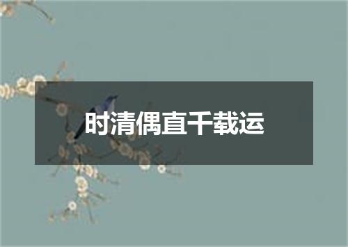 时清偶直千载运