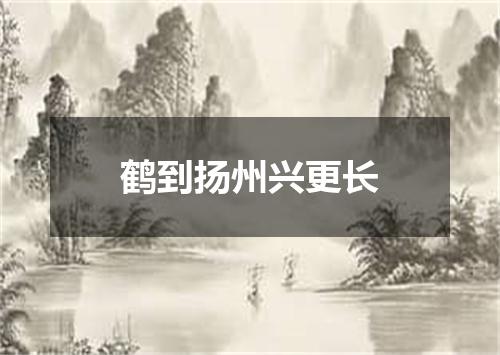 鹤到扬州兴更长