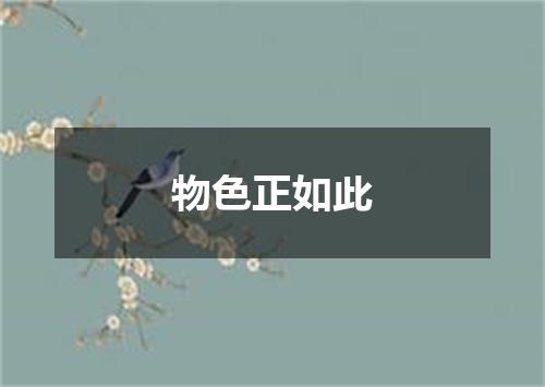 物色正如此