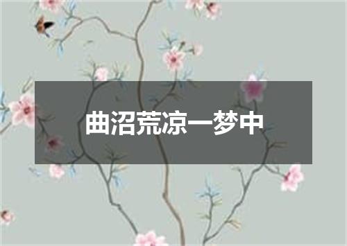 曲沼荒凉一梦中
