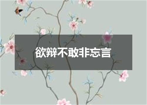 欲辩不敢非忘言