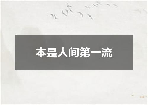本是人间第一流