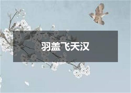 羽盖飞天汉