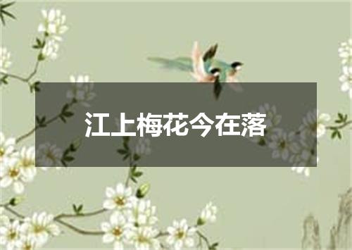 江上梅花今在落