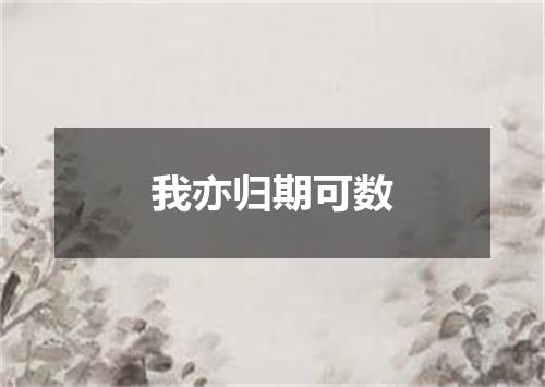 我亦归期可数