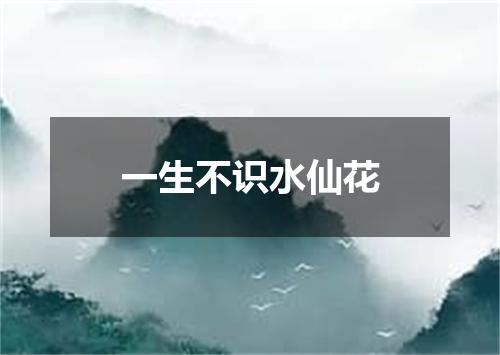 一生不识水仙花