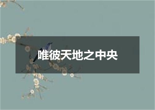 唯彼天地之中央