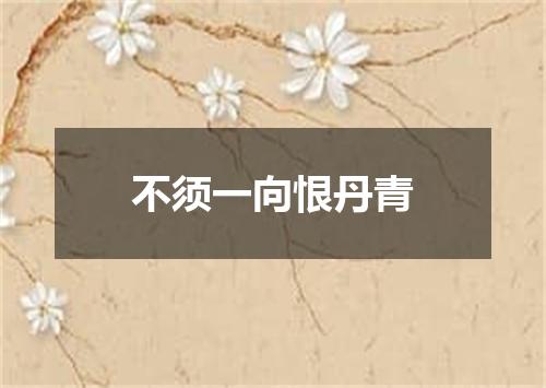 不须一向恨丹青