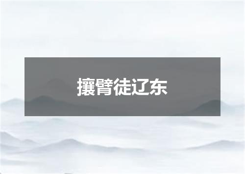 攘臂徒辽东