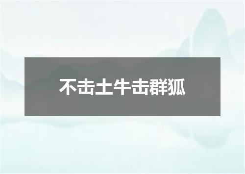 不击土牛击群狐