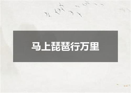 马上琵琶行万里
